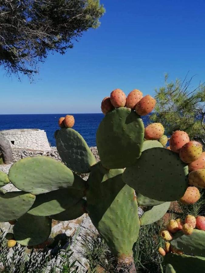 Vila Marina Marittima Exteriér fotografie